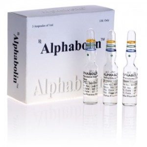 Alphabolin - comprar Enantato de metenolona (depósito de Primobolan) en la tienda online | Precio